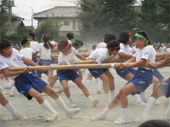 運動会(附属小学校)