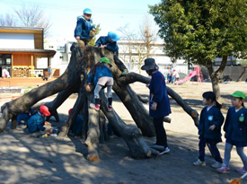 園庭遊び(附属幼稚園)