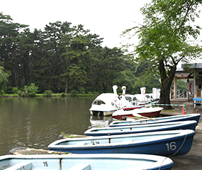 敷島公園・敷島公園門倉テクノばら園