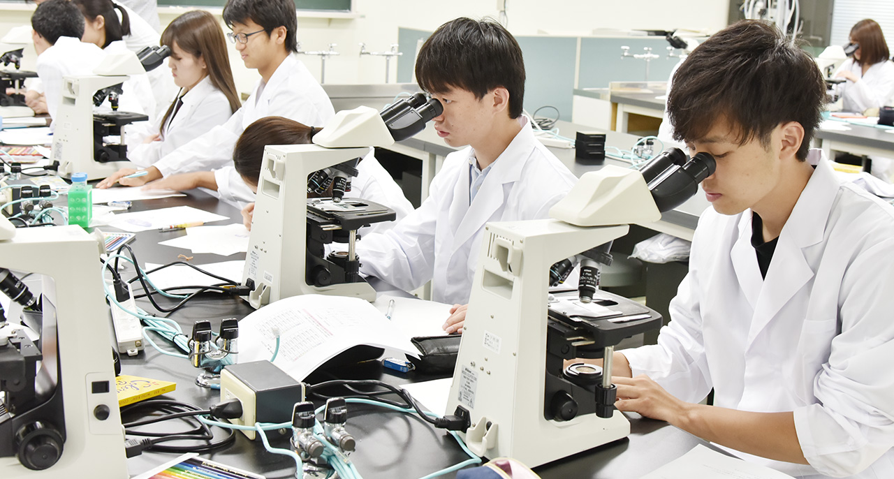 医学部医学科について