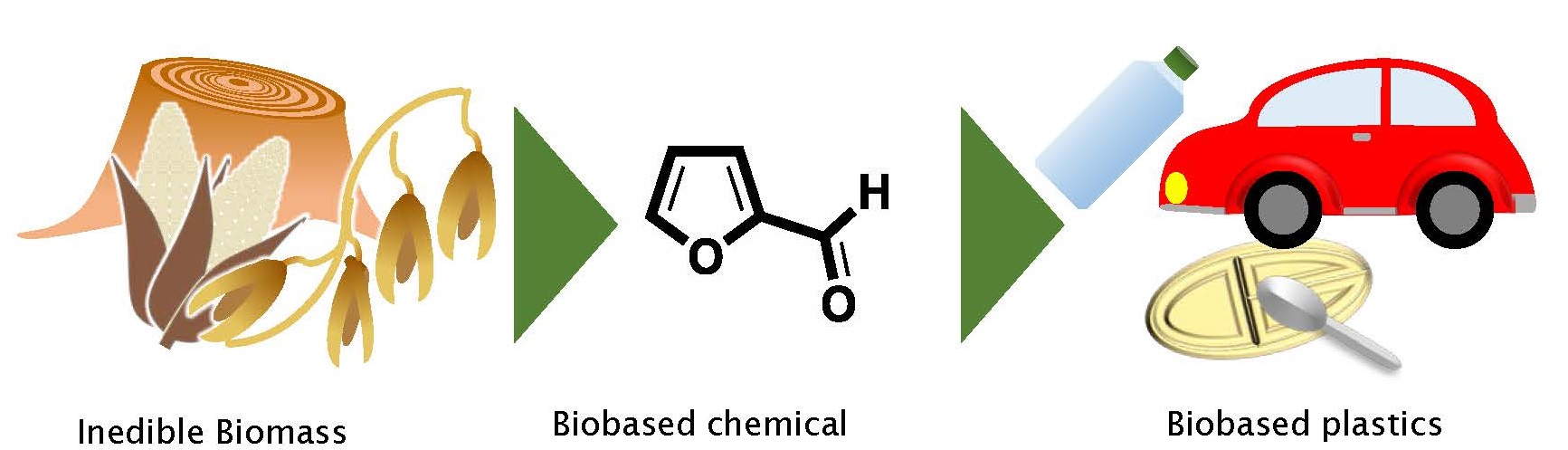 Climate Control by biobased plastics derived from inedible biomass resources
