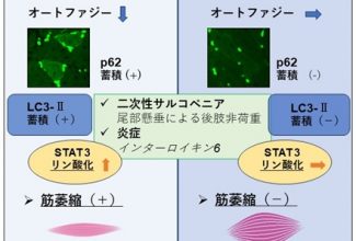 研究成果-整形・内分泌_R051124
