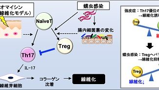 皮膚科学・研究成果_R070122
