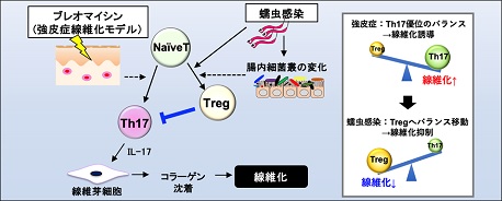 細菌・真菌性疾患 (最新皮膚科学大系) Monthly Book Derma（デルマ） 269|全日本病院出版会