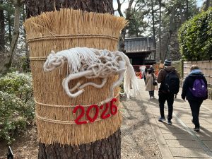 This year is the Year of the Horse!