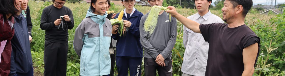 収穫体験