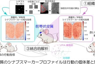 機能形態学・研究成果リリース_R080820