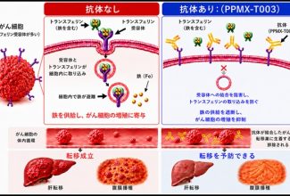 未来先端、消化管外科・研究成果リリース_R080821