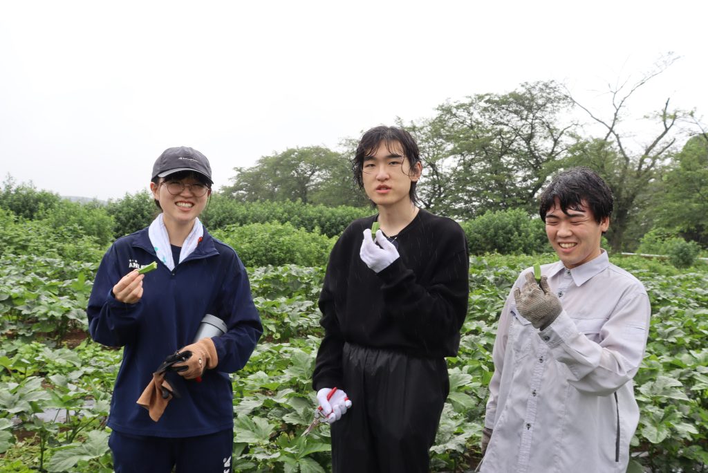Harvesting Experience(2)
