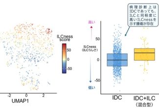 乳腺・内分泌外科学・研究成果リリース_R080909